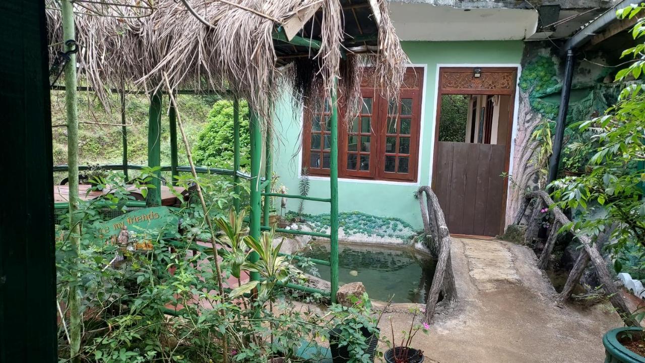 Green House Nallathanniya Luaran gambar