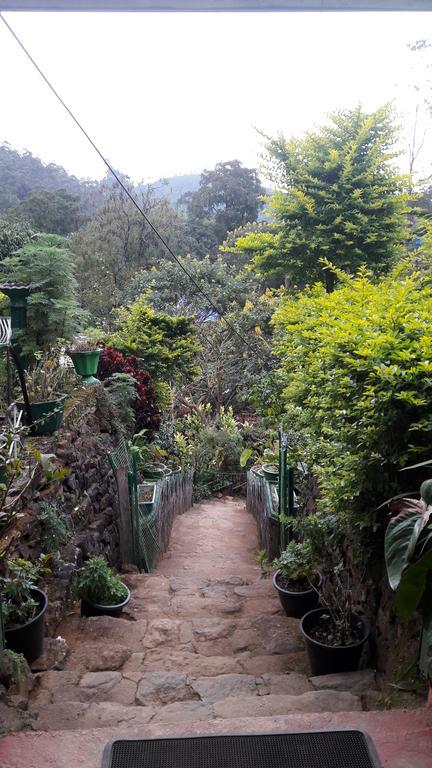 Green House Nallathanniya Luaran gambar